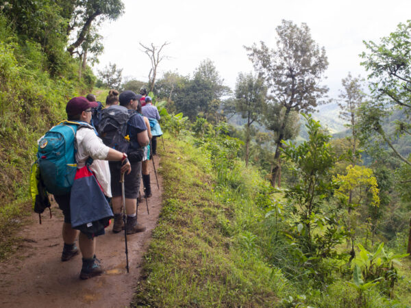 3-Day Best Hiking Trail in Rwanda