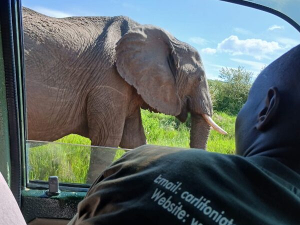 8-Day Uganda Wildlife Adventure Safari with Gorillas