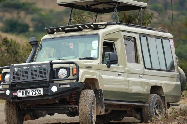 Masai Mara, Homa Bay, Ruma National Park, Kisumu and Kakamega Rain Forest with Carlifonia Tour and Travel