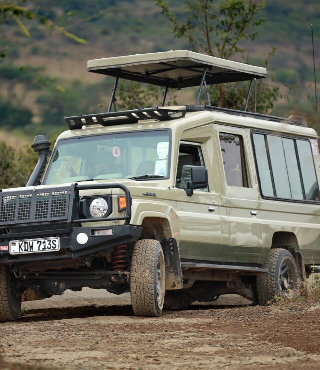 Masai Mara, Homa Bay, Ruma National Park, Kisumu and Kakamega Rain Forest with Carlifonia Tour and Travel