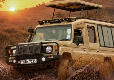 Our Successful Amboseli Safari: Elephants and Kilimanjaro Views