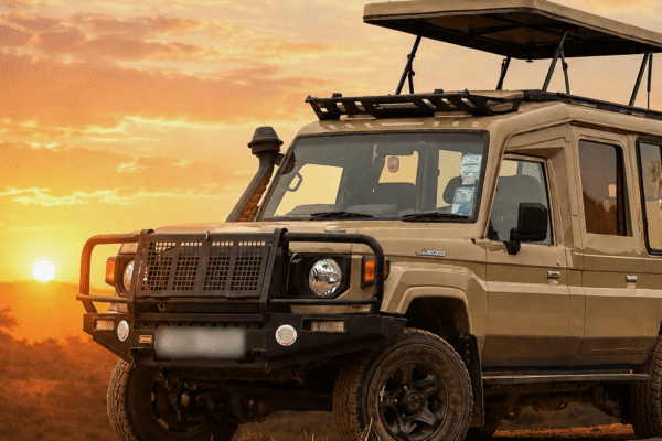 Seven Days of Lakes, Highlands, Forests & Rare Wildlife