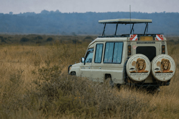 Two Days of Lakeside Leisure, Wildlife, Wine & Ethiopian Culture