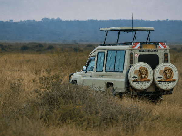 Two Days of Lakeside Leisure, Wildlife, Wine & Ethiopian Culture