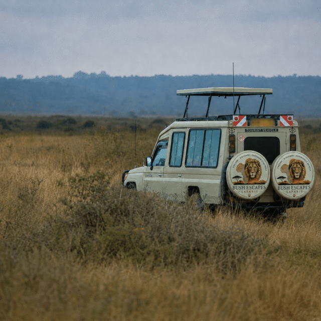 Two Days of Lakeside Leisure, Wildlife, Wine & Ethiopian Culture